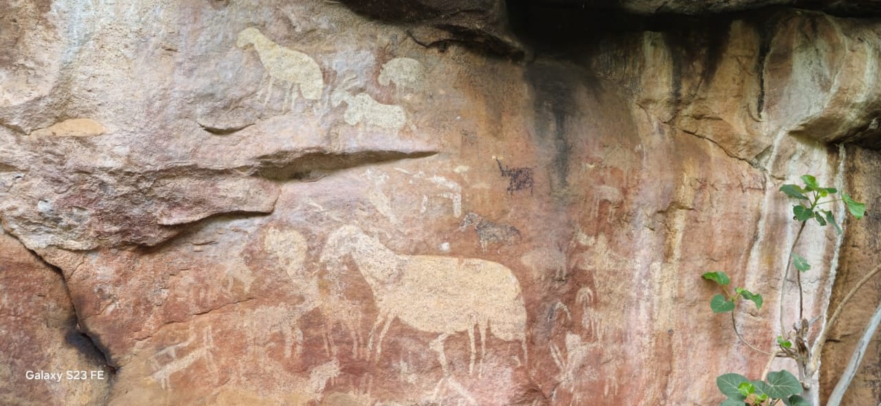 Pilanesberg Nationalpark